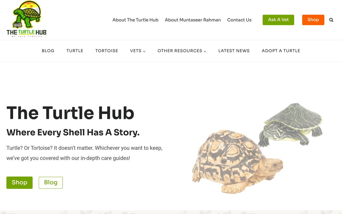 The Turtle Hub